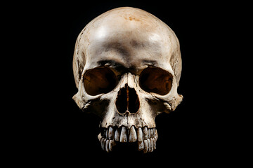 Obraz premium A detailed human skull against a black background, emphasizing anatomy and structure.
