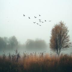 Fototapeta premium A serene autumn morning with misty trees and birds flying in the gentle breeze