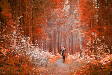 Fototapeta premium Mature model portraying a royal huntress with red curve hair is hunting with a crossbow in the in vibrant autumn forest in a thematic photo shoot