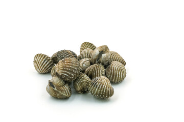 Fresh cockles on white background
