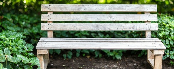 Fototapeta premium A rustic wooden bench surrounded by lush greenery, perfect for relaxation and outdoor settings.