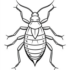 An Aphid line art vector isolated on a white background