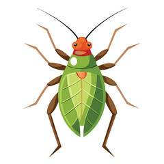 An Aphid Minimalist vector illustration isolated on a white background