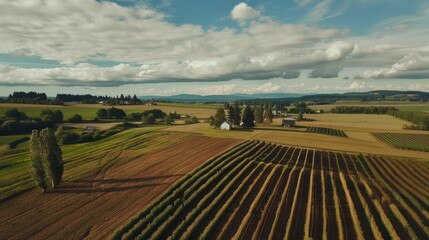 Obraz premium Aerial View of Rolling Farmland