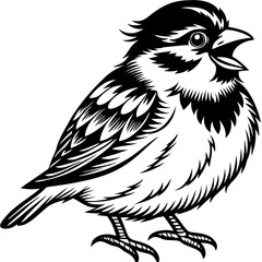 Sparrow perched with a cheerful expression and fluffy feathers vector