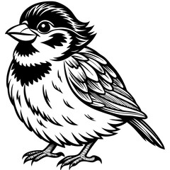 Sparrow perched with a cheerful expression and fluffy feathers vector