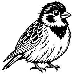Sparrow perched with a cheerful expression and fluffy feathers vector