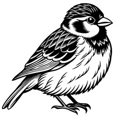 Sparrow perched with a cheerful expression and fluffy feathers vector