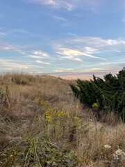 Colorful Dune