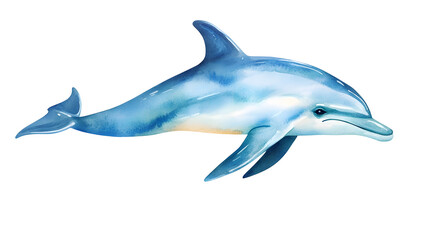 Fototapeta premium Playful dolphin illustration isolated on white