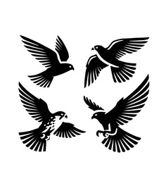 Fototapeta premium set of falcon illustration graphic design black and white vector clip art silhouette
