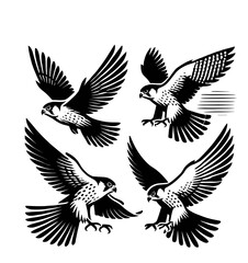 set of falcon illustration graphic design black and white vector clip art silhouette