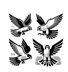Fototapeta premium set of falcon illustration graphic design black and white vector clip art silhouette