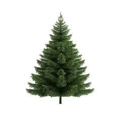 Fototapeta premium A realistic green pine tree ideal for various seasonal designs and nature-themed projects, symbolizing growth and renewal. transparent background