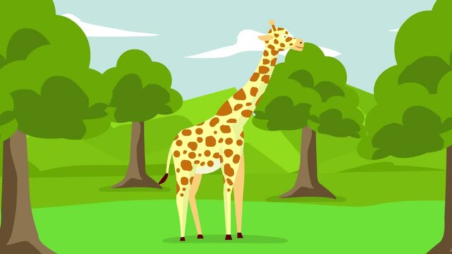 Animated video of a giraffe in the jungle on safari, art.
