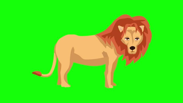 Animated video of a lion on a green background, art.