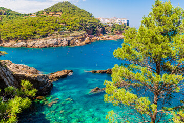 Fototapeta premium Calas de Aguafreda y Sa Tuna, Begur, Catalonia, Spain