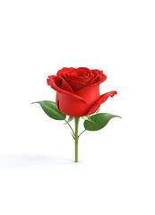 Fototapeta premium simple semi 3D full bloom single red rose flower, isolated in white background