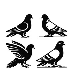 Fototapeta premium set of pigeon illustration graphic design black and white vector clip art silhouette