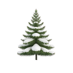 Fototapeta premium A snow-covered evergreen tree, perfect for winter and holiday-themed decorations, evoking a festive atmosphere. transparent background