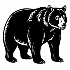 Bear Black vector silhouette