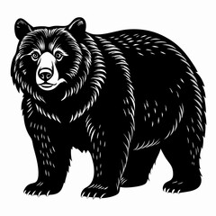 Bear Black vector silhouette