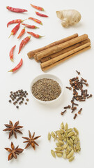 スパイス・イメージ｜クミン・クローブ・黒胡椒・八角・カルダモン・シナモン・生姜・唐辛子