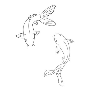 Koi karps Vector isolated two Koi karps top view simple minimal line drawing
