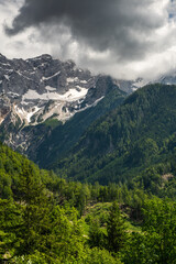 Alpine Mountains in Slovenia at summer, green hills and snowy peaks