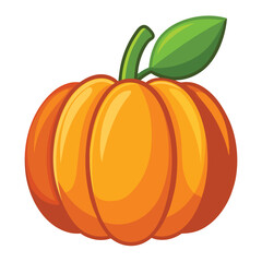 Pumpkin vector illustration on white background.