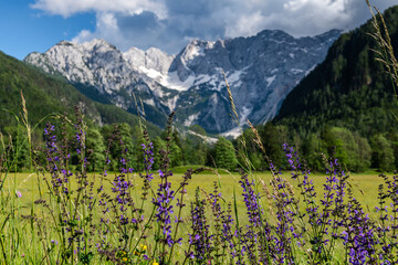 Alpine landscape at Zgorne Jezersko village in Slovenia at summer