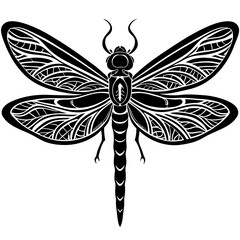 Dragonfly with detailed wings and delicate body segments. vector