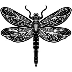 Dragonfly with detailed wings and delicate body segments. vector