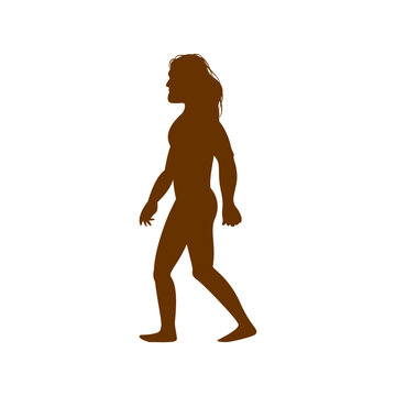recommend clip art: Human Darwin Evolution Silhouettes