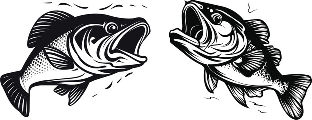 A Collection of Largemouth Bass fish Hand drawn illustration.