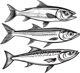 Set of Realistic Mackerel Fish Engraving - Hand-Drawn Marine Wildlife Vector Art.