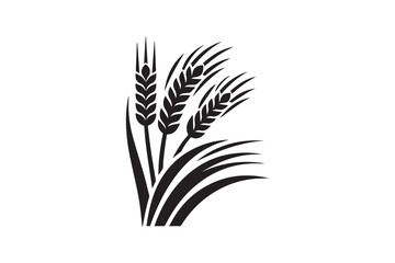corn stalks and barley grain vector silhouette illustration © mdlikhonislam2x
