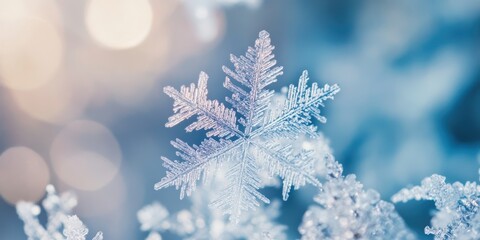 Delicate snowflake resting on a soft blanket of frost, showcasing intricate details and a serene winter atmosphere.