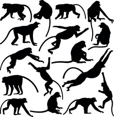 Proboscis Monkey silhouette vector illustration set