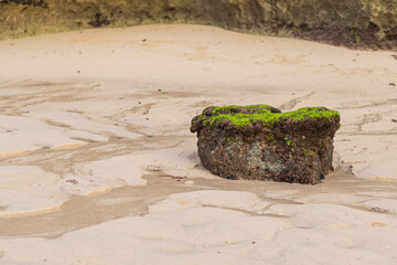 Moss-Covered Rock on Sandy Beach