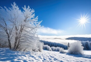 enchanting winter landscape showcasing frost covered branches serene snowy backdrop, nature, cold, trees, beauty, outdoors, scenic, white, ice