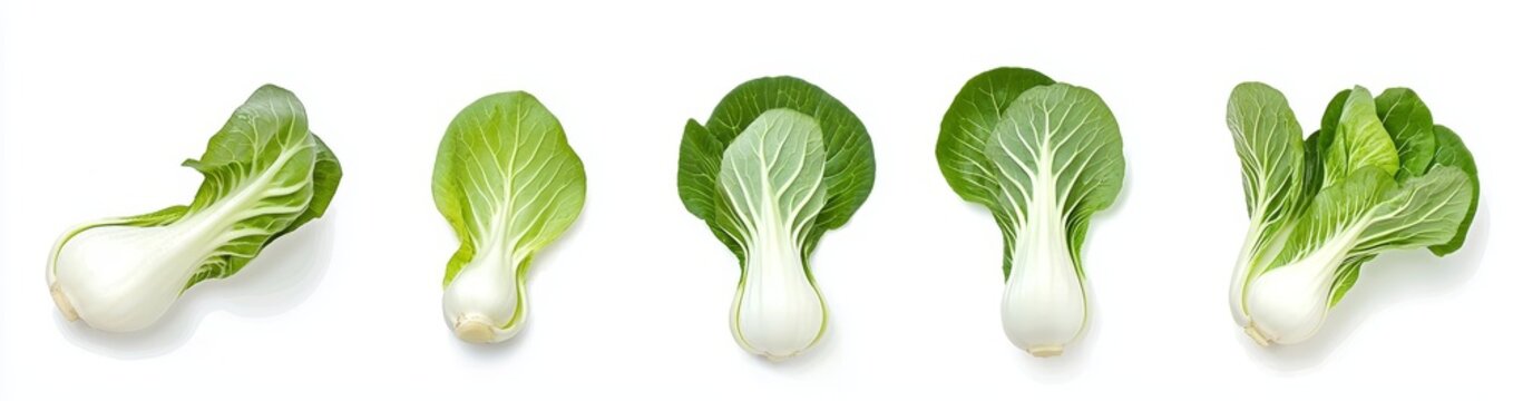An isolated flat lay of fresh salad vegetables, organic food, with bok choy leaves on the background.