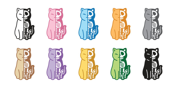 cat vector halloween skeleton skull bone kitten pastel color calico sitting icon logo symbol cartoon character illustration doodle isolated design