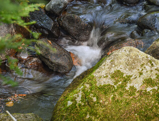 water cascading in a small brook