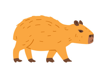 Cute baby capybara walking flat vector illustration isolated on white.