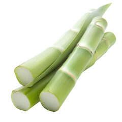 A bunch of green bamboo sticks