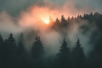 Fototapeta premium Mystical Sunrise over Foggy Forest