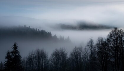 Fototapeta premium Misty forest landscape