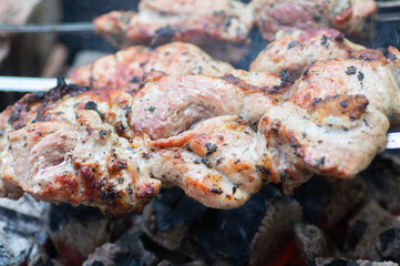 Delicious meat skewers on brazier during picnic.