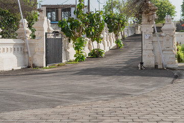 Serene Balinese Street with Dog